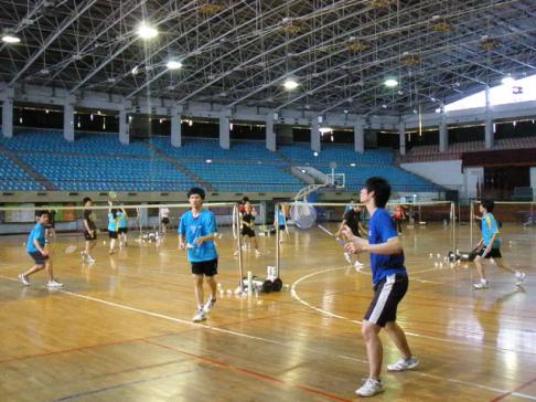 民國95~102年的成大羽球隊